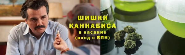 стаф Магадан