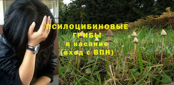 стаф Магадан