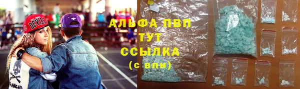 эйфоретик Майский