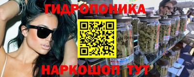 крисы Рязань