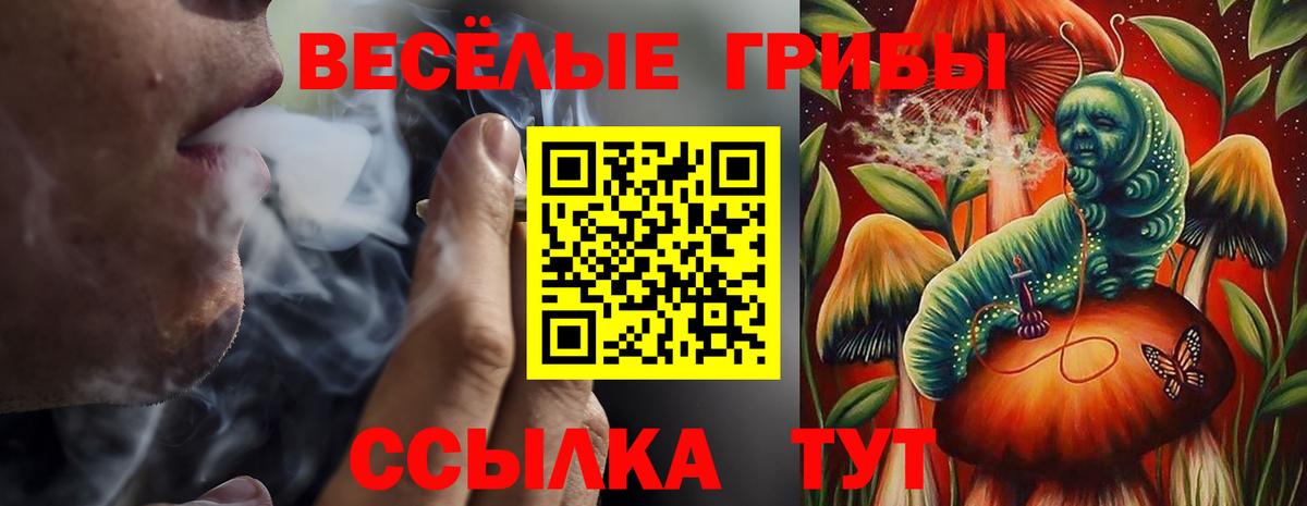 Янаул  Псилоцибиновые грибы Magic Shrooms  Вход с VPN 
